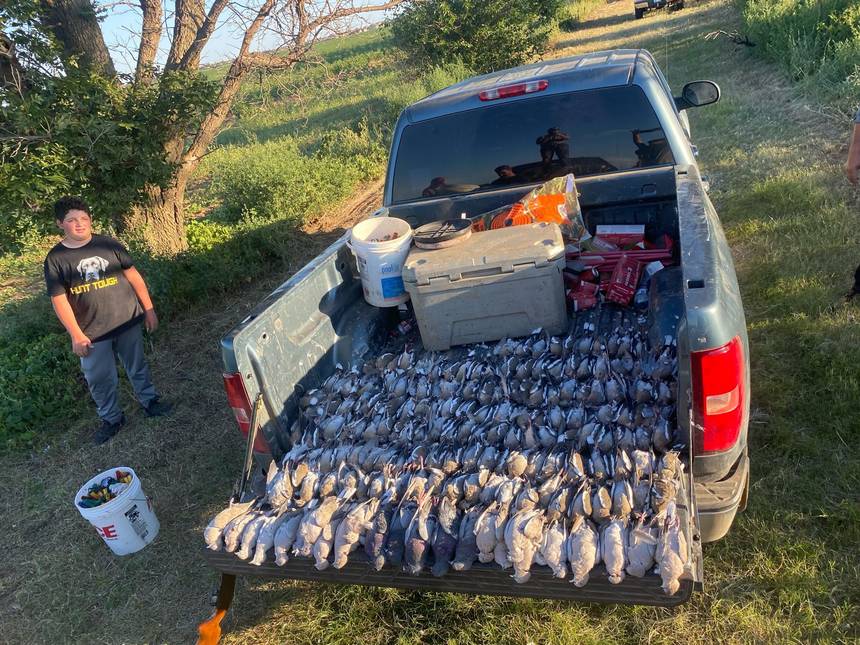 Oklahoma dove hunt with Bitter Creek Outfitters