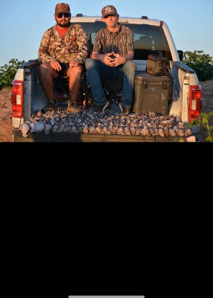 Oklahoma dove hunt with Bitter Creek Outfitters